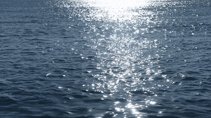 七夕乘船去看奥帆那片“浪浪海”，让爱更热烈！