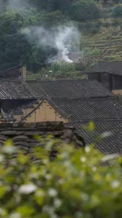 这里的柿子可以摘！代溪镇，距四坪仅12公里，2天1夜烹茶酌酒，玩转非遗！