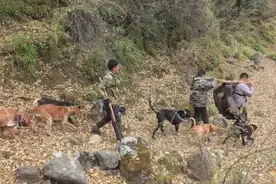 职业野猪猎人月入过万上热搜 当事人：不认可“赏金猎人”的称呼，网传收入有误图片