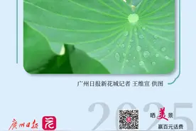 早参｜2025年广州市公办小学招生网上报名即将开始；广东首批省级免陪照护试点医疗机构公布图片