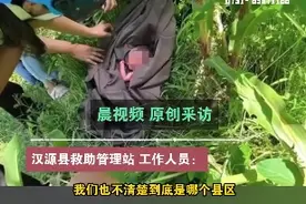 四川一玉米地发现脐带未剪女婴：以遗弃罪立案，目前仍未找到父母图片