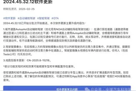 1次体验换来7张罚单、月销千台仅1台为FSD买单……特斯拉智驾入华“水土不服”图片