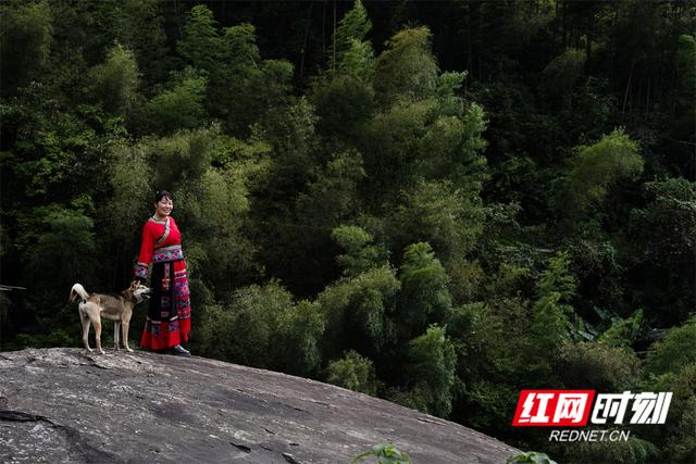 大美红图 | 那山那人那狗