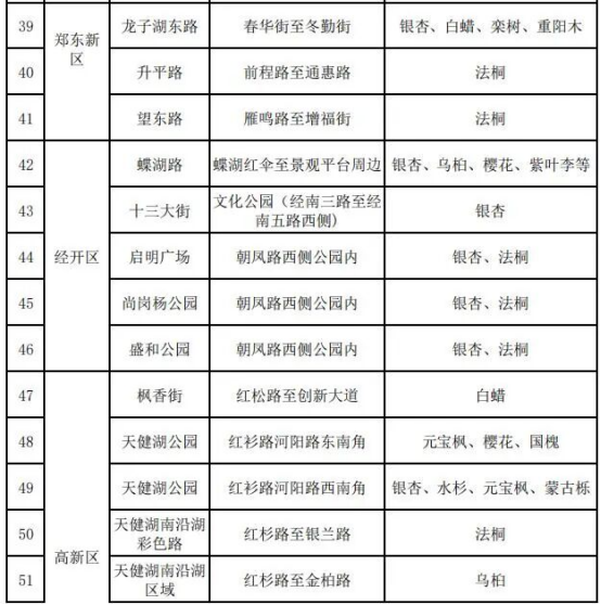 郑州这54条落叶不扫景观道，速来打卡！
