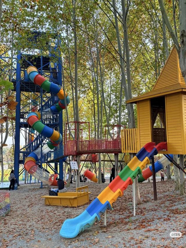 江宁初冬亲子“三件套”→