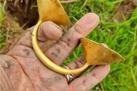 英国男子发现3000年前黄金制品，拍卖将获巨额财富图片