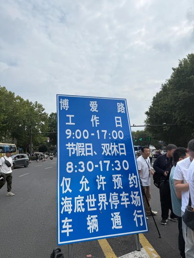 前方记者来报！这是今天的钟山风景区