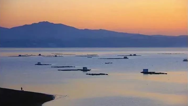 重返20°C+，洛阳极品好天气！速速出门！