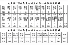永定区2024年中心城区中小学新生入学方案细则图片