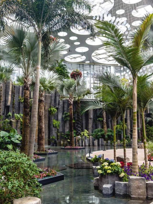 上海公园总数达到1100座！三林滨江城市森林“水森林”已基本建成，计划今年春天开放