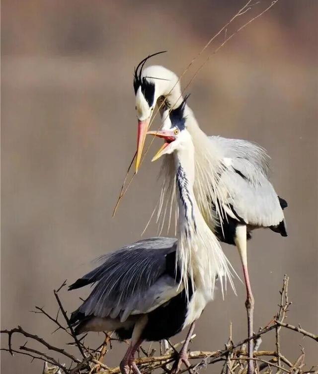 融古韵 绽新姿——庆阳市2025年文旅发展时代答卷