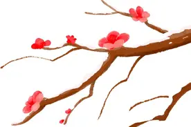 节气 | 立冬图片