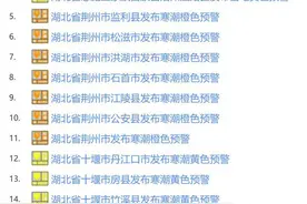 湖北多地发布寒潮、大风、大雾、雷电预警！局地暴雪图片