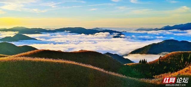 【每日一图@湖南】月夜风车与霞光云海同框？初冬的桂东万洋山做到了