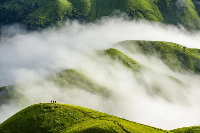 属马的朋友看过来！吉安武功山、羊狮慕免门票啦