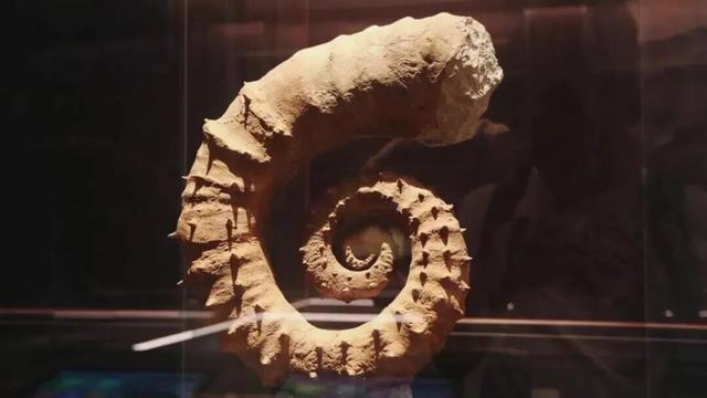 德州这一景区，本周末免费入园！