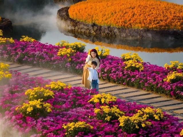 人气满满！元旦假期南宁文旅“热”力十足！亮点全在这→