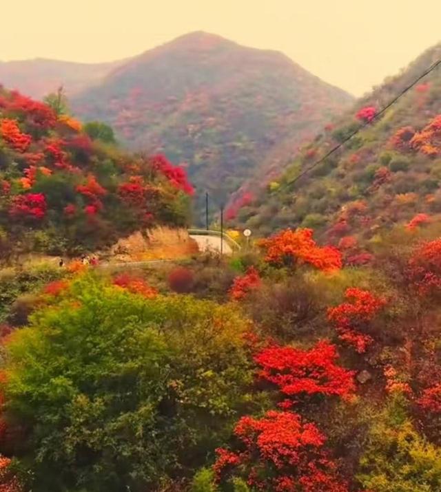 旅游天地 | 深秋里去绛县紫家峪西峪村赏红叶