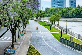 快来感受梦幻紫色的初夏“限定”！成都市锦江区发布“赏楹”攻略图片