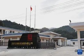 中国经济样本观察·企业样本篇丨闻鸡起舞青山间——圣农集团白羽肉鸡种源攻关记图片