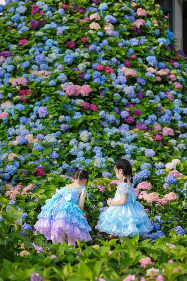 这里的群众性主题活动“高光时刻”已生成，速来查看！