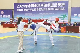 跆拳精英 激烈角逐图片