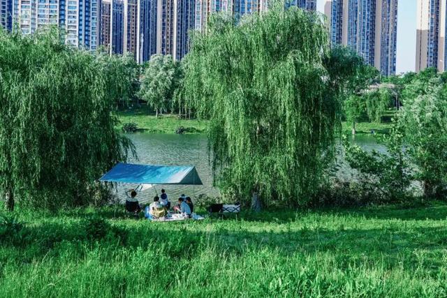 免费+市区！武汉这5 处宝藏露营地，地铁可达
