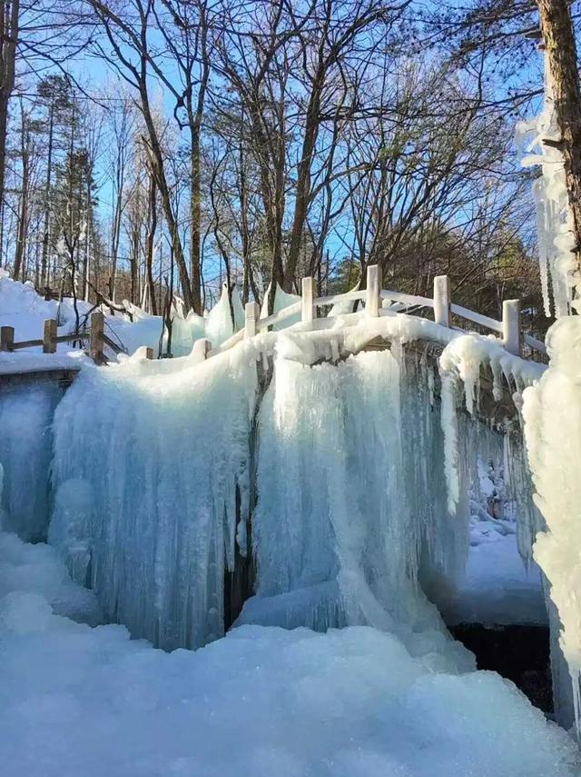 在嵩县找到了现实版「冰雪奇缘」！美到失语的白云山冬日