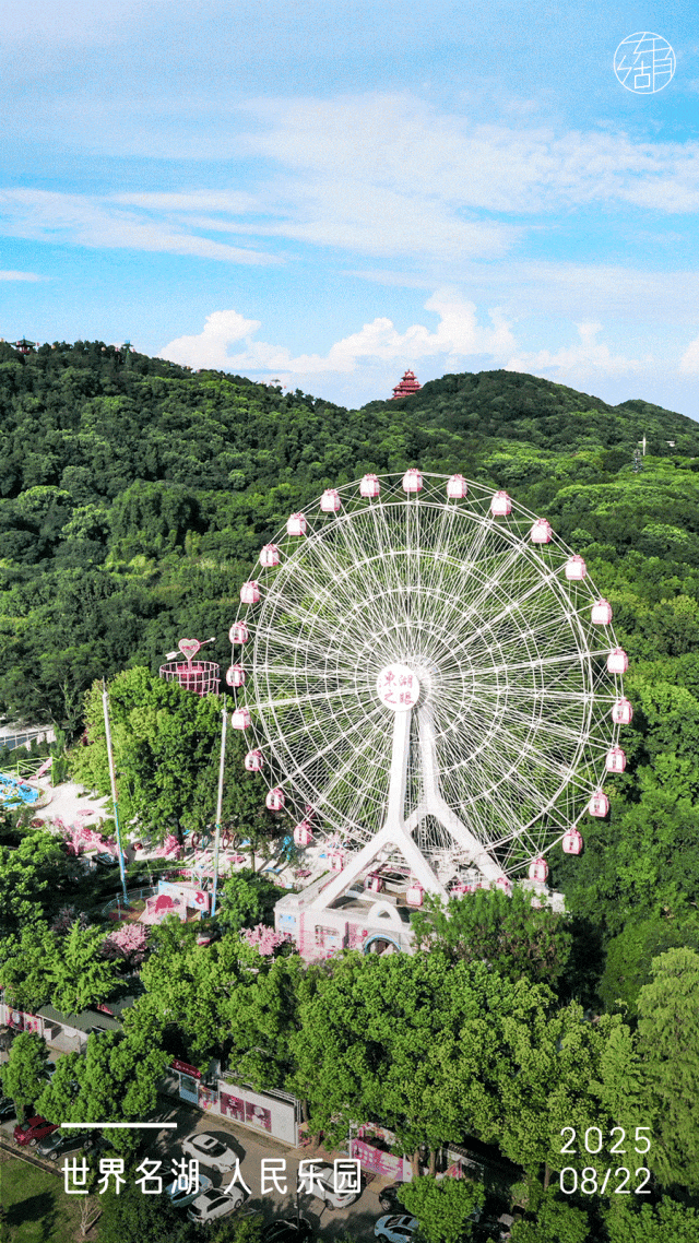 100张免费票！东湖之眼五周年甜蜜暴击