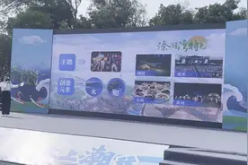 暑期到泰州溱湖湾 坐“水上劳斯莱斯”在湖面“飘”图片