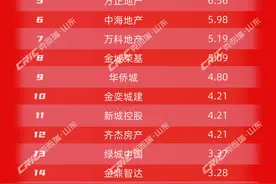 新东升排名第一！1-10月淄博房企销售业绩排行榜出炉图片