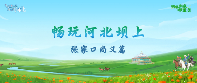 夏游张家口 消夏避暑季|畅玩河北坝上之张家口尚义篇