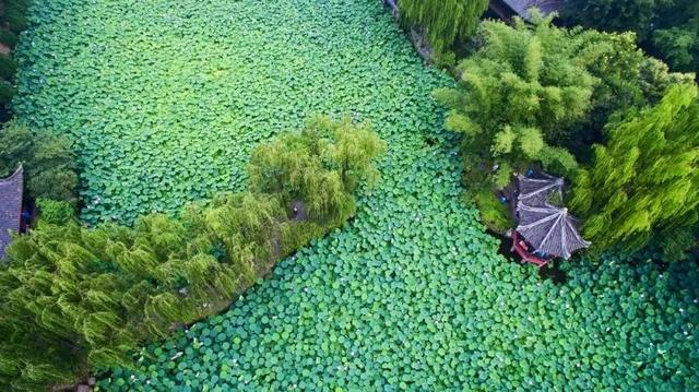 探寻古蜀密码，当然要从新都开始~