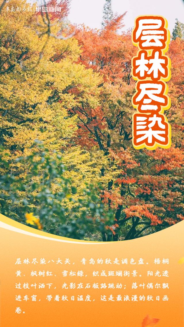 这里是青岛｜青岛秋味，藏在这些成语里