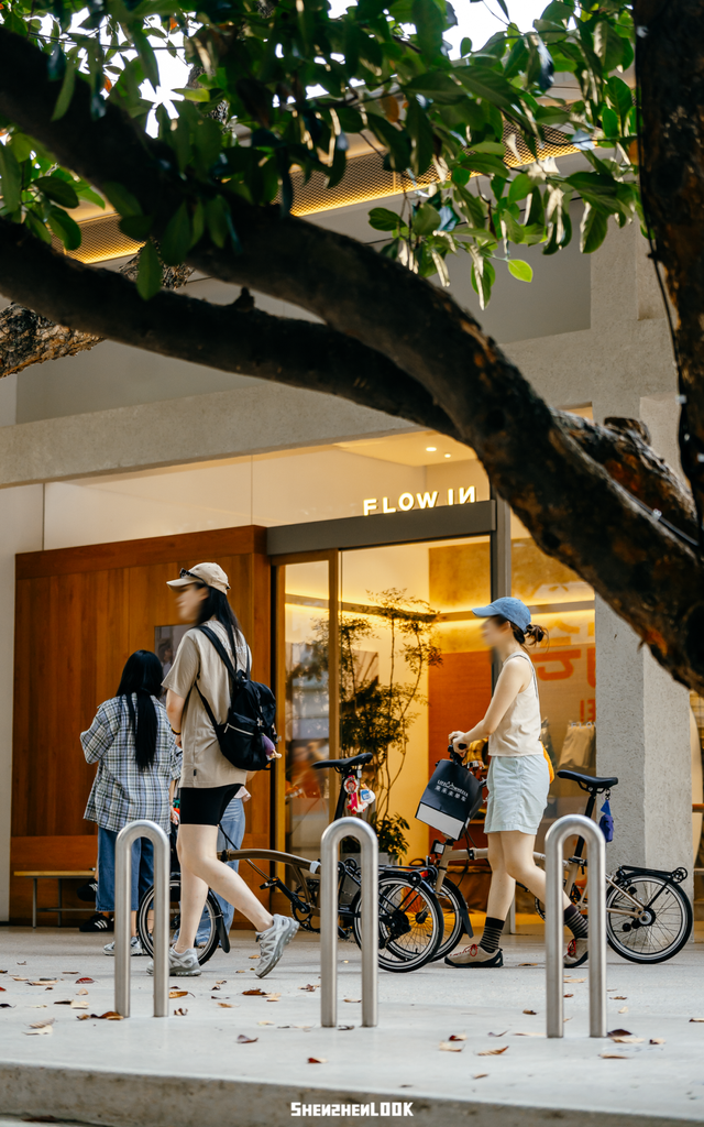 “看牛看海看夜景，深圳骑行路线精选”