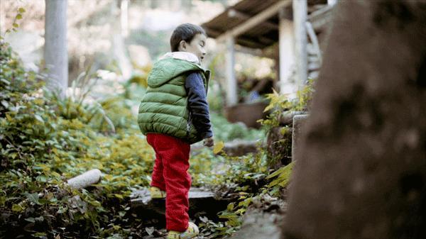 8个好友在福建抱团山居：减少物欲，尝试在山里养育下一代