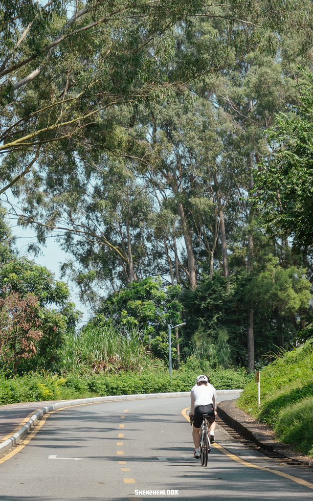 “看牛看海看夜景，深圳骑行路线精选”