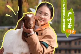 乡村职场新宠：95后青年为何选择回村上班？图片