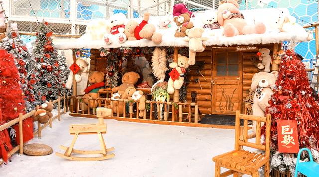 极地狂欢喜迎元旦！来哈尔滨极地公园一“企”贺新年！