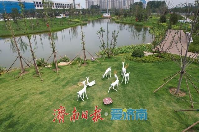 项目强省会｜生态休闲再升级，济南东站片区绿地公园向市民开放