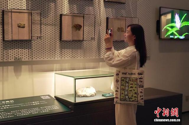 走进江西瑞昌铜岭铜矿遗址博物馆 探寻青铜文明