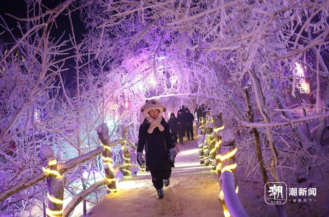 浙吉携手推动“南客北游” 冰雪新天地，联动南与北