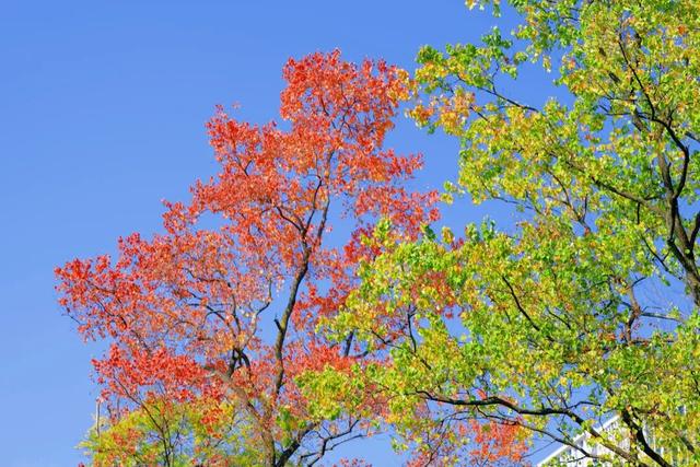 动身前往！收藏千岛湖跨越秋冬的诗意