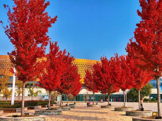 潍坊峡山：秋末冬初美景如画