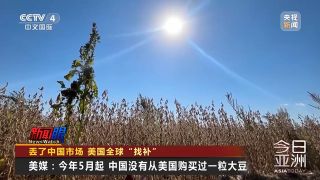大豆价格暴跌,美国豆农出售设备,特朗普团队向印度推销!美媒称中国近半年没买过美国1粒大豆