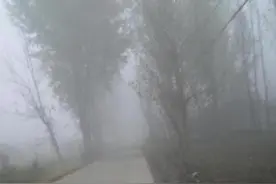 警惕！“团雾”高发期已到，安全行车必学技巧图片