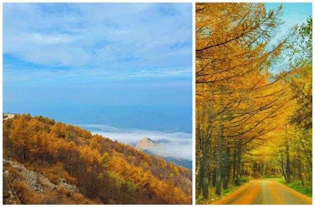 秋游河北赏红叶|登燕山之巅、赏金秋红叶！秋天来承德，解锁山水间的诗意与狂欢