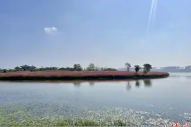 湖水变清 废水重生 长沙县幸福河湖建设美丽蝶变图片