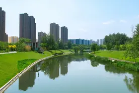 一起say hi，东坝“老友记”回来了图片