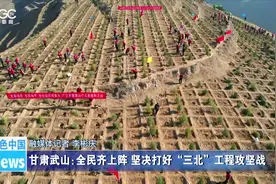 甘肃省武山县：全民齐上阵 坚决打好“三北”工程攻坚战图片